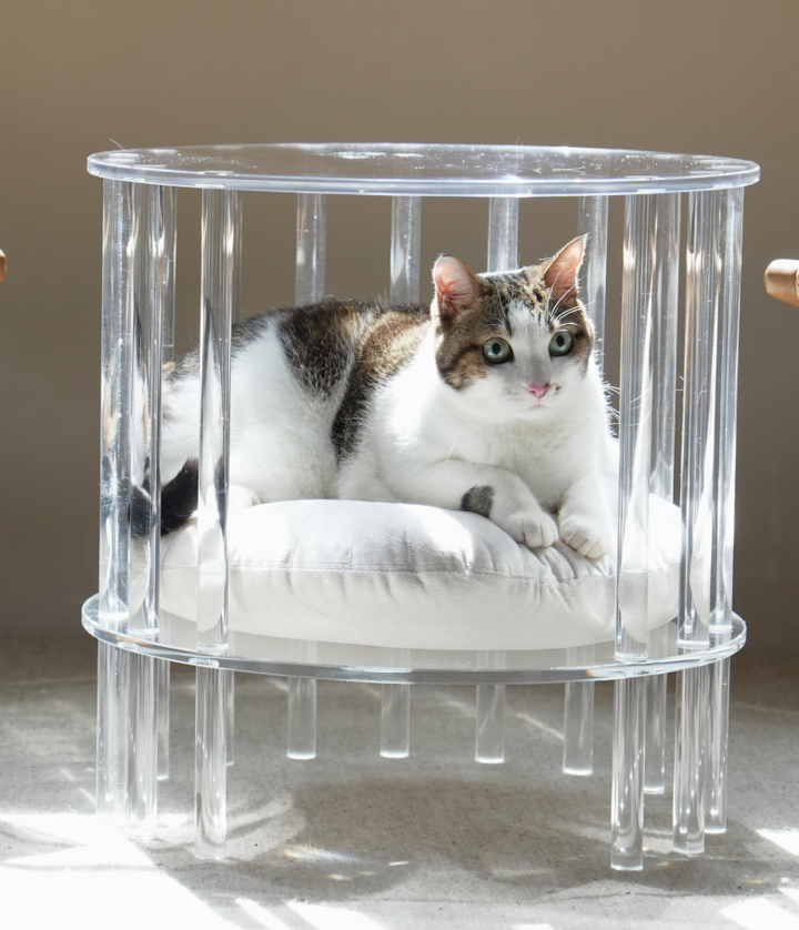 しろねこ NEKOSHIRO ZERO